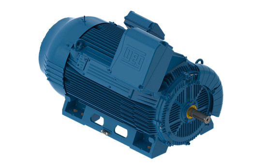 高壓電機(jī)有哪些電氣保護(hù)措施？