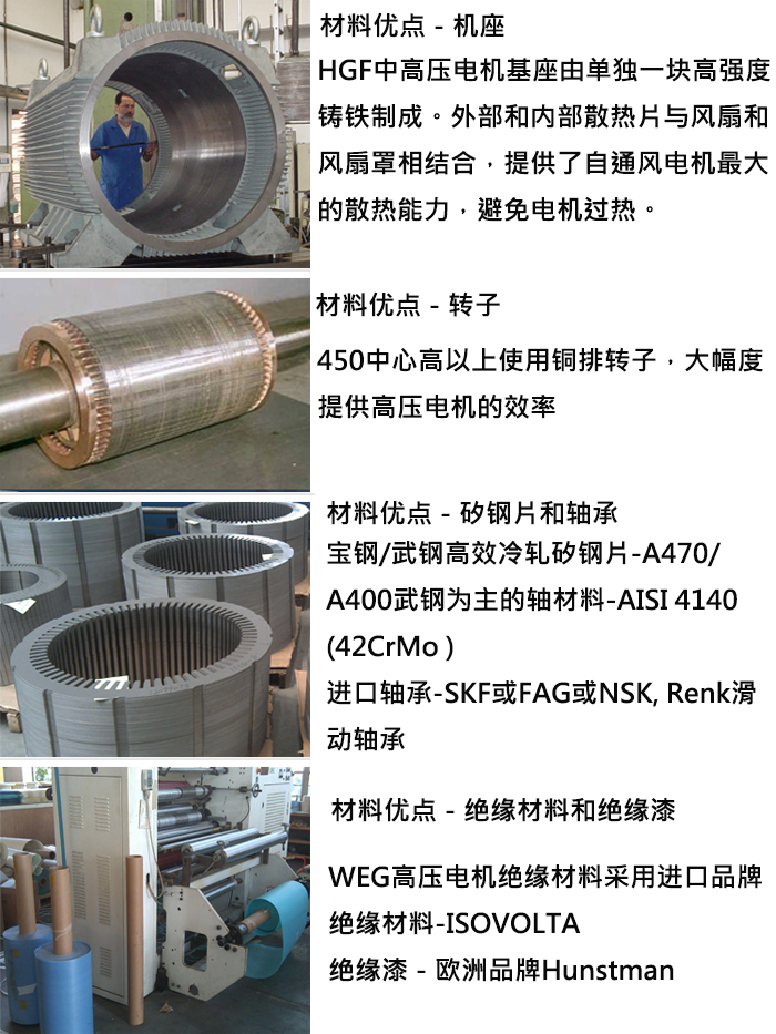 WEG高壓電機(jī)材料優(yōu)勢(shì)